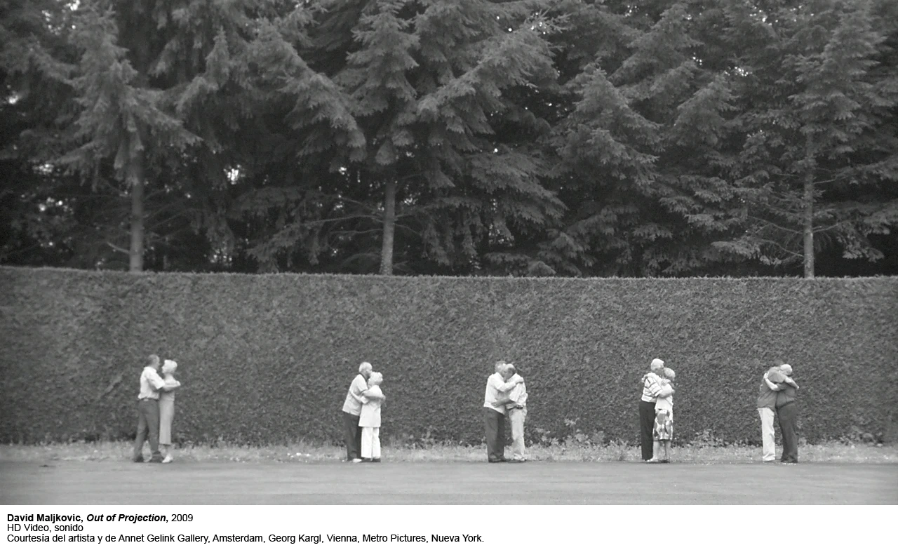 David Maljkovic: Out of projection(imagen 04)