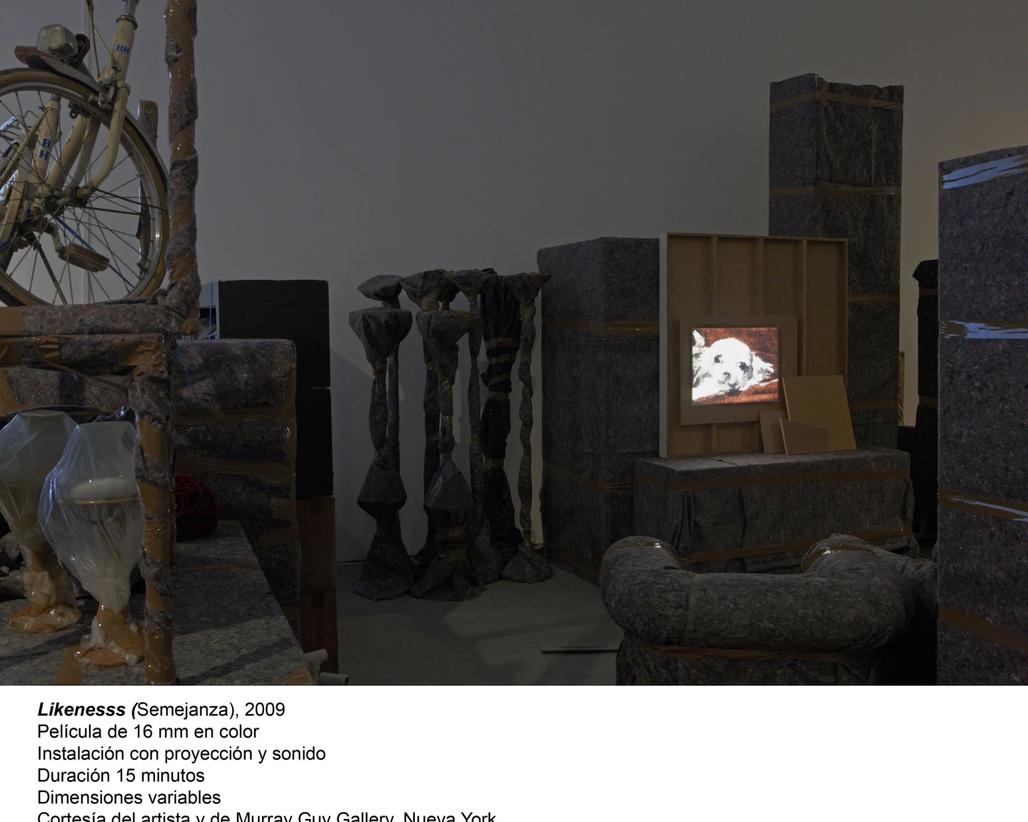 Matthew Buckingham. Representantes del tiempo(imagen 09)