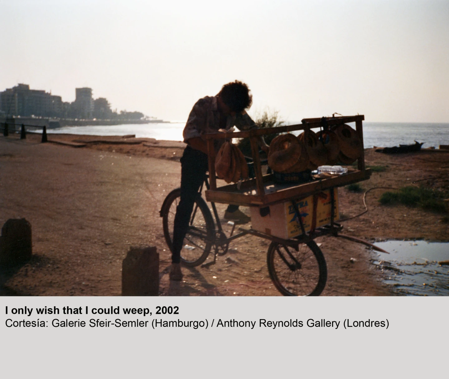 The Atlas Group (1989-2004) Un proyecto de Walid Raad(imagen 03)