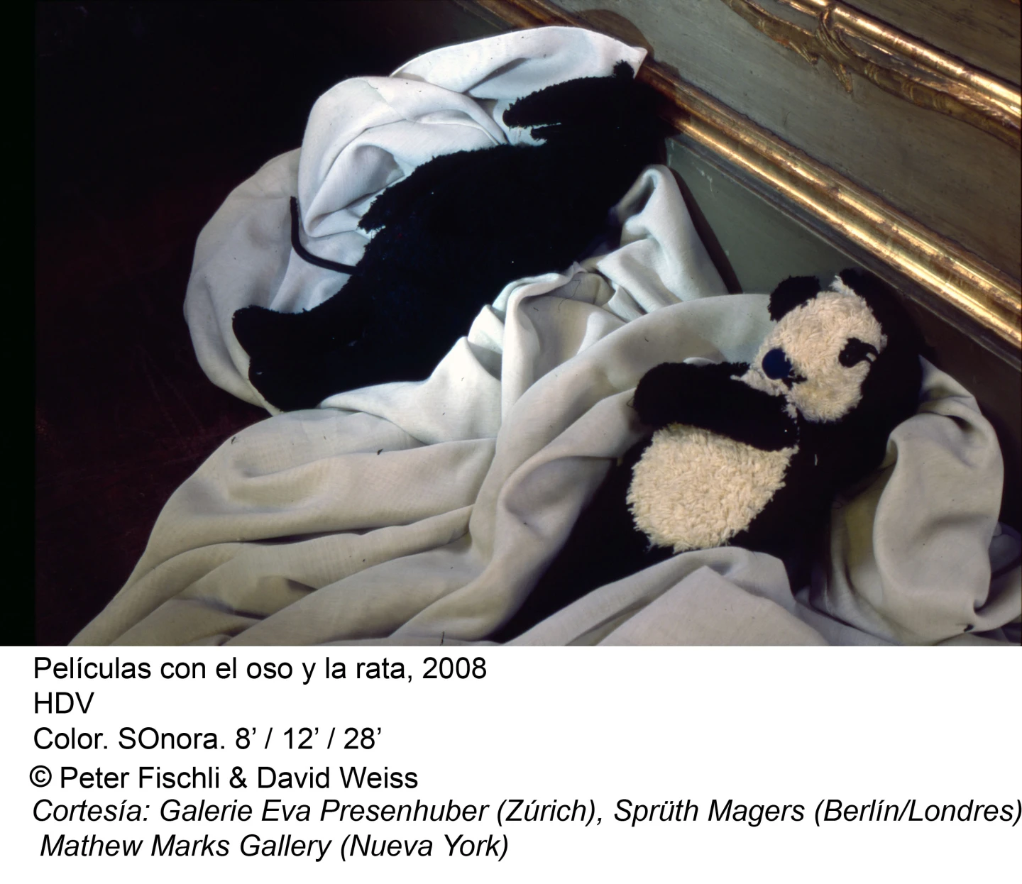 Peter Fischli / David Weiss. ¿Son los animales personas?