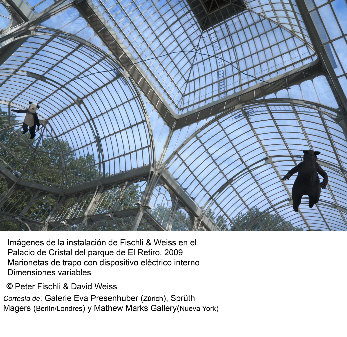 Peter Fischli / David Weiss. ¿Son los animales personas?(imagen 04)