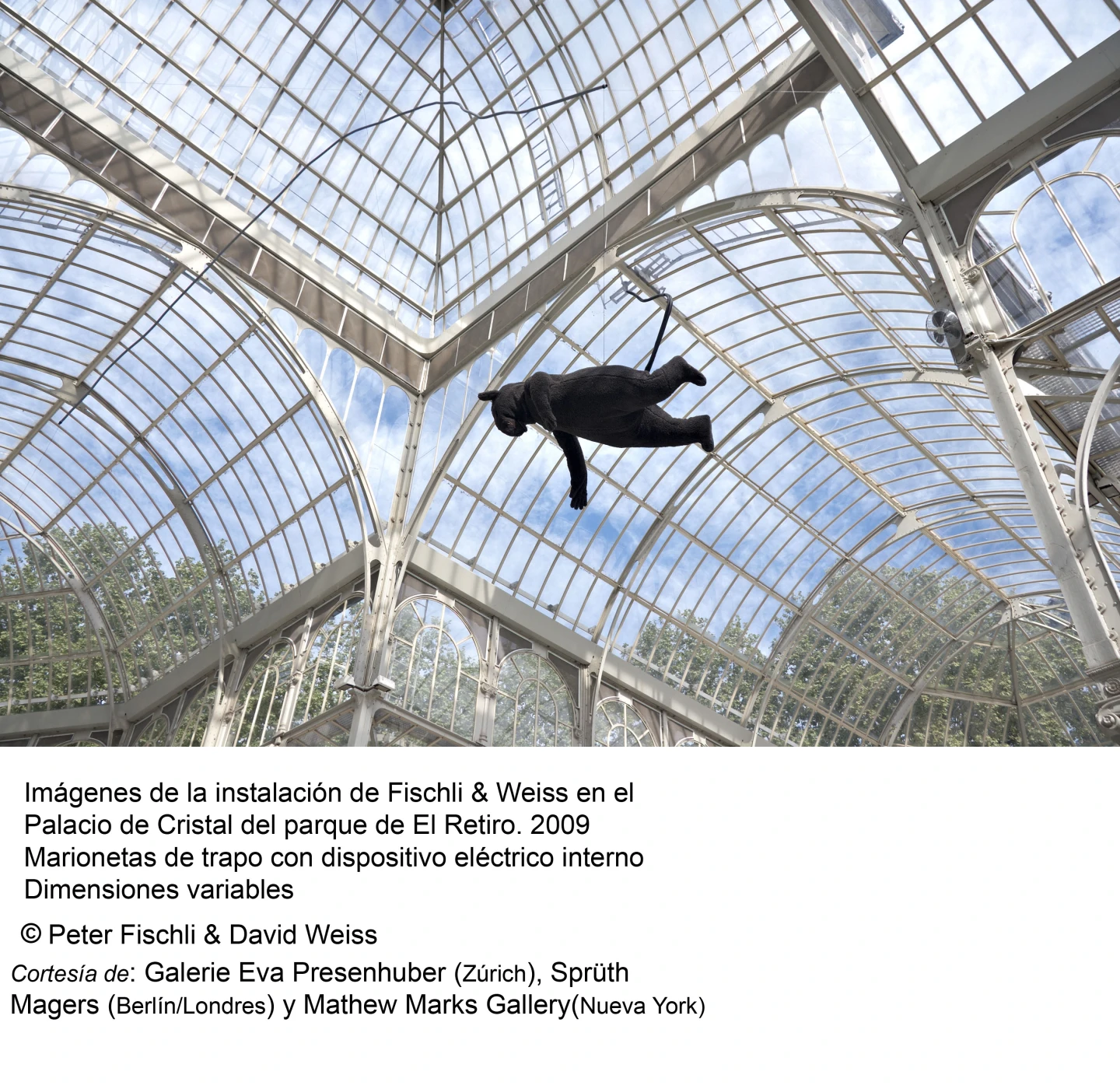 Peter Fischli / David Weiss. ¿Son los animales personas?(imagen 05)