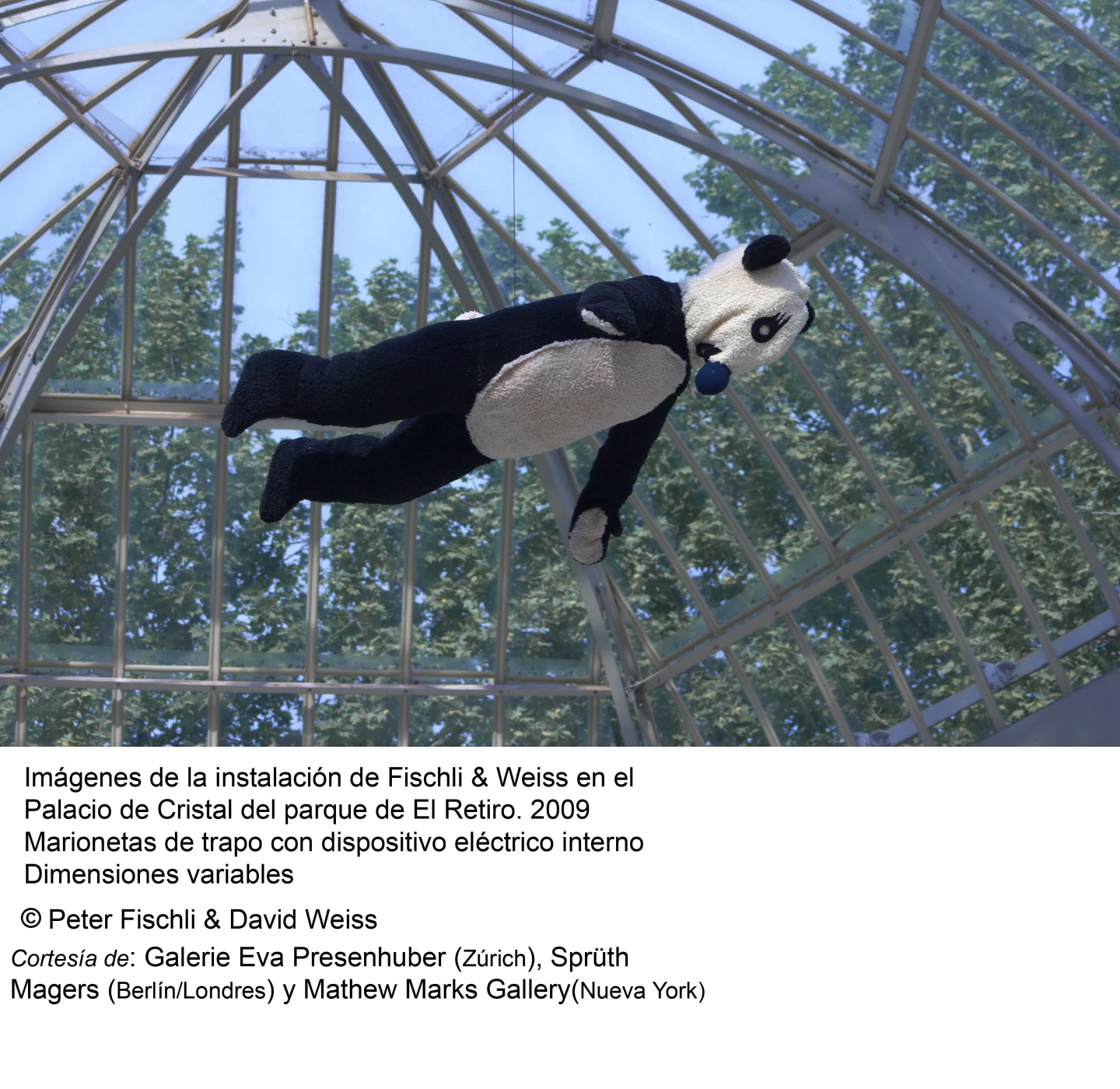 Peter Fischli / David Weiss. ¿Son los animales personas?(imagen 06)