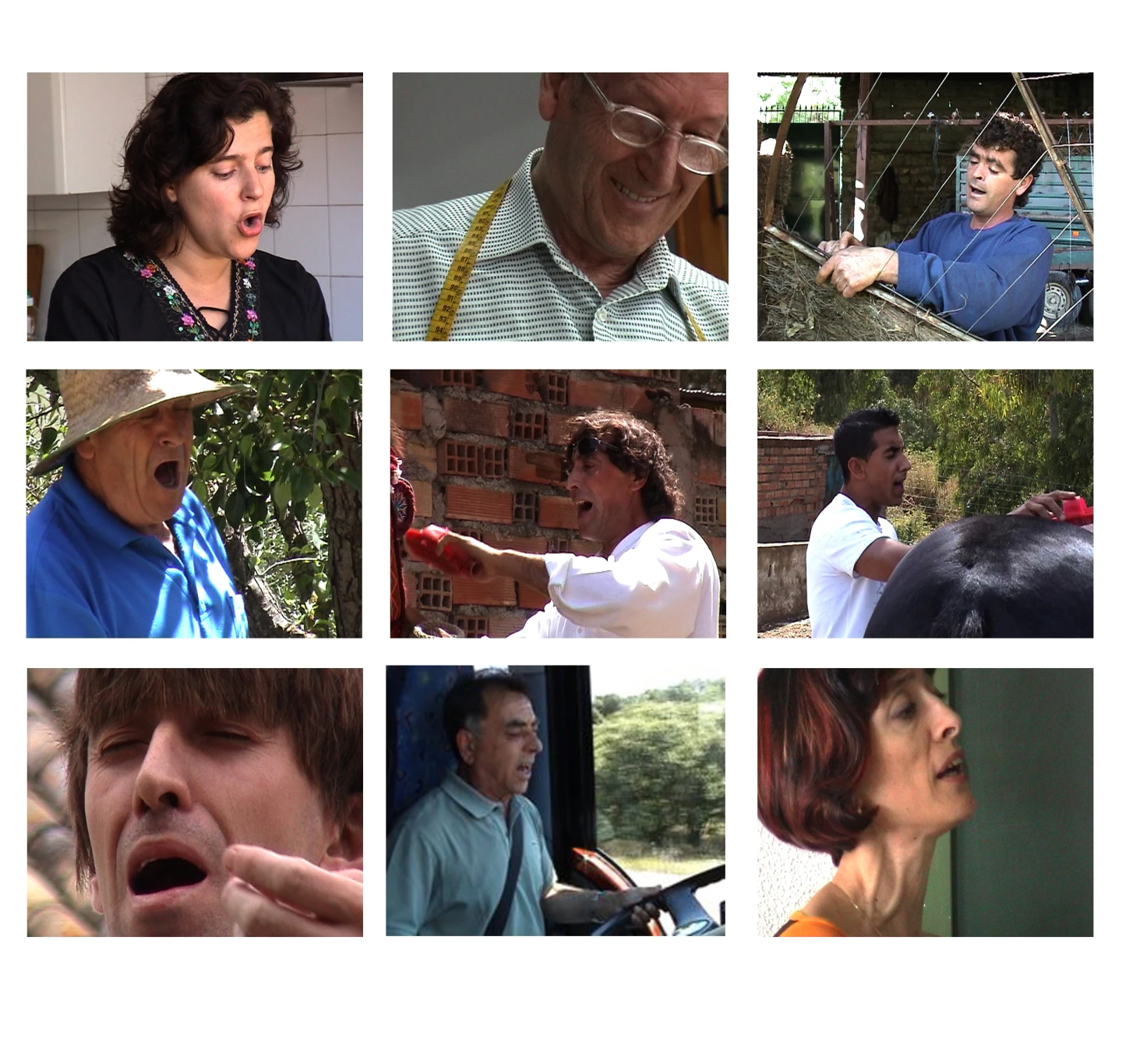 &quot;El Sur de nuevo&quot;