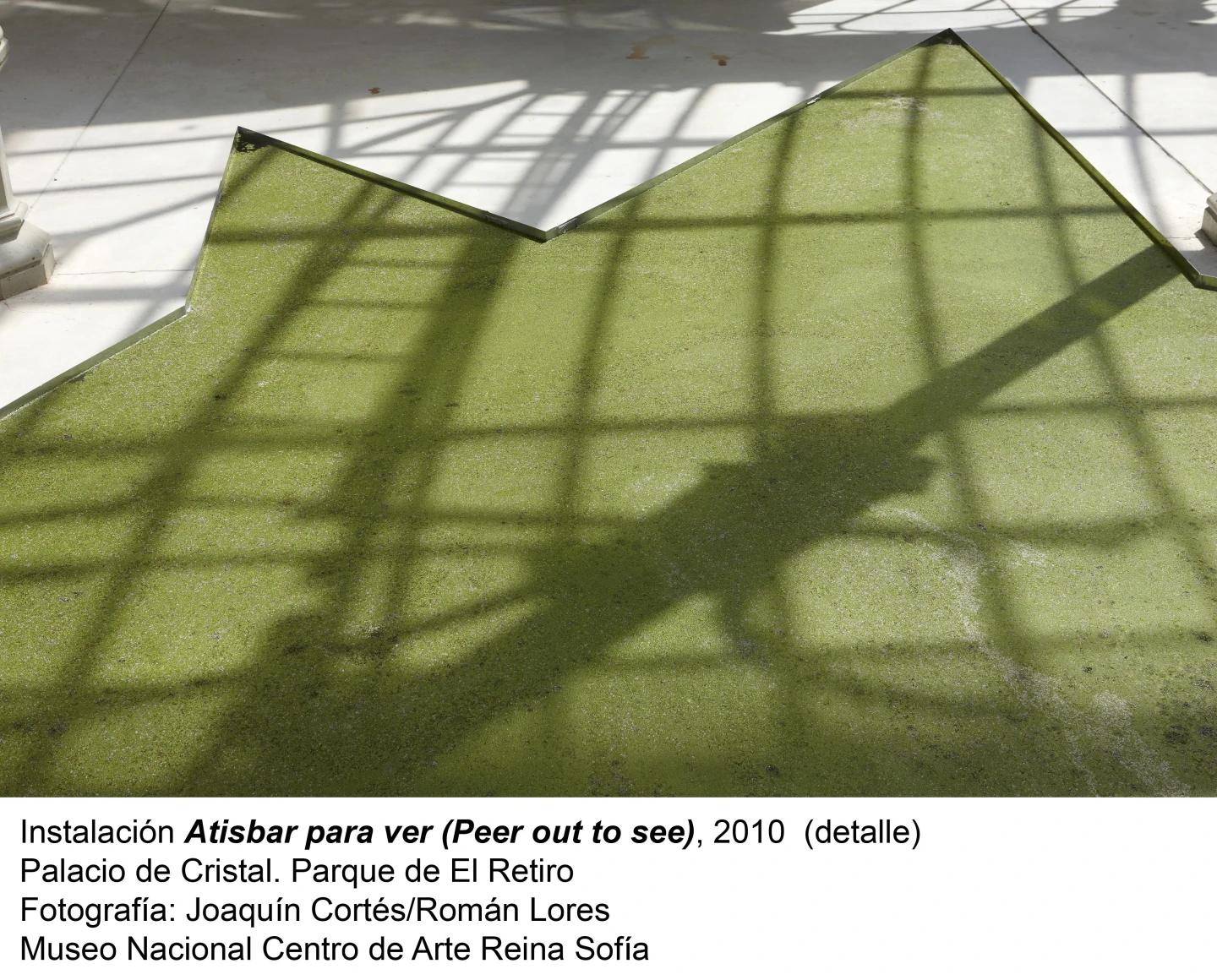 Jessica Stockholder. Peer Out to See (Atisbar para ver)(imagen 14)