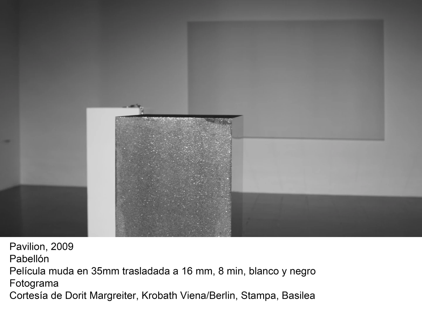 Dorit Margreiter Descripción(imagen 02)