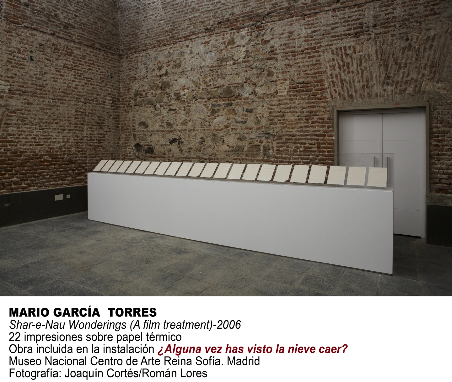 Mario García Torres. ¿Alguna vez has visto la nieve caer?(imagen 05)
