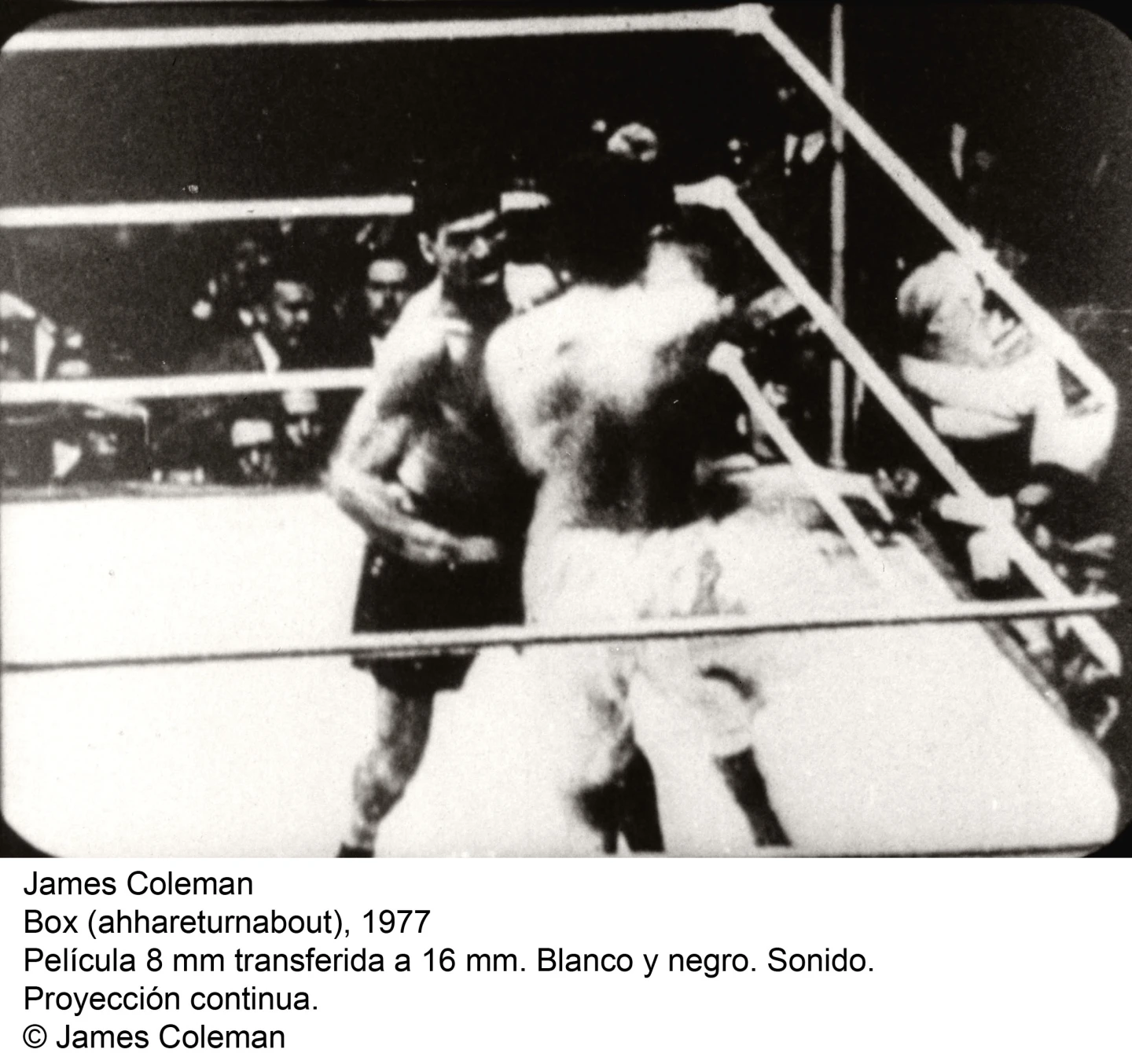 James Coleman (imagen 06)