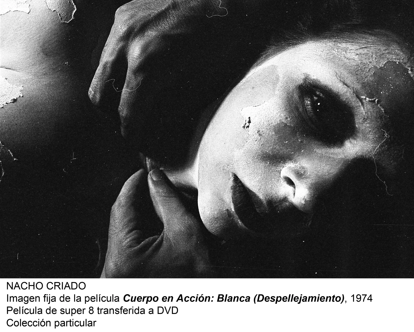 Nacho Criado.  Agentes colaboradores(imagen 04)