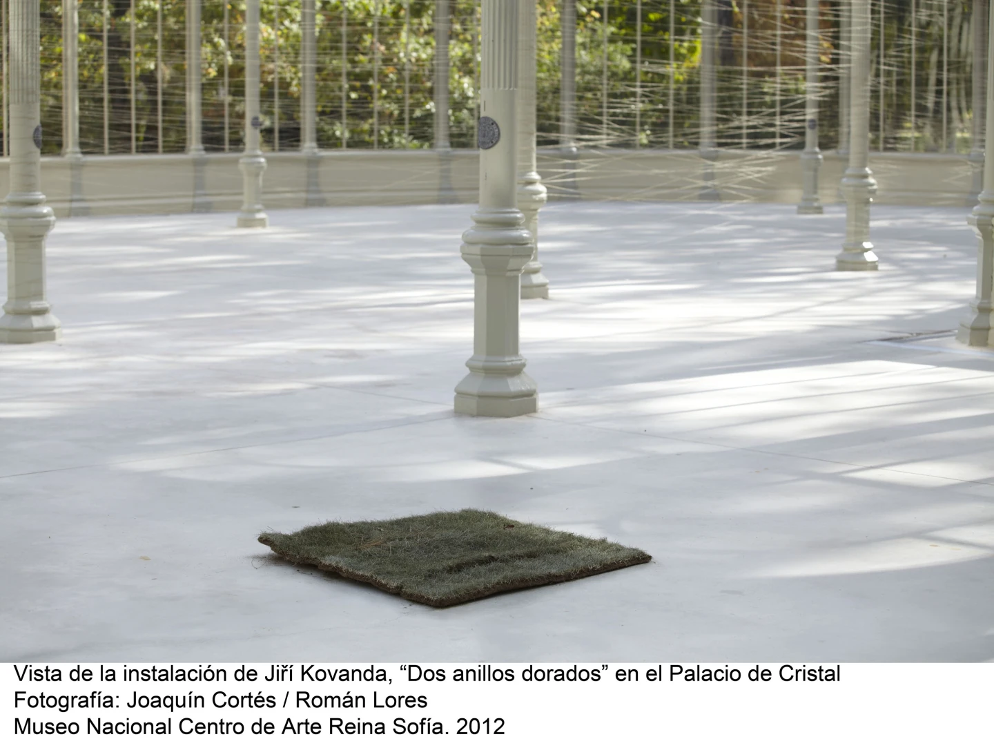 Jiří Kovanda. Dos anillos dorados (imagen 03)