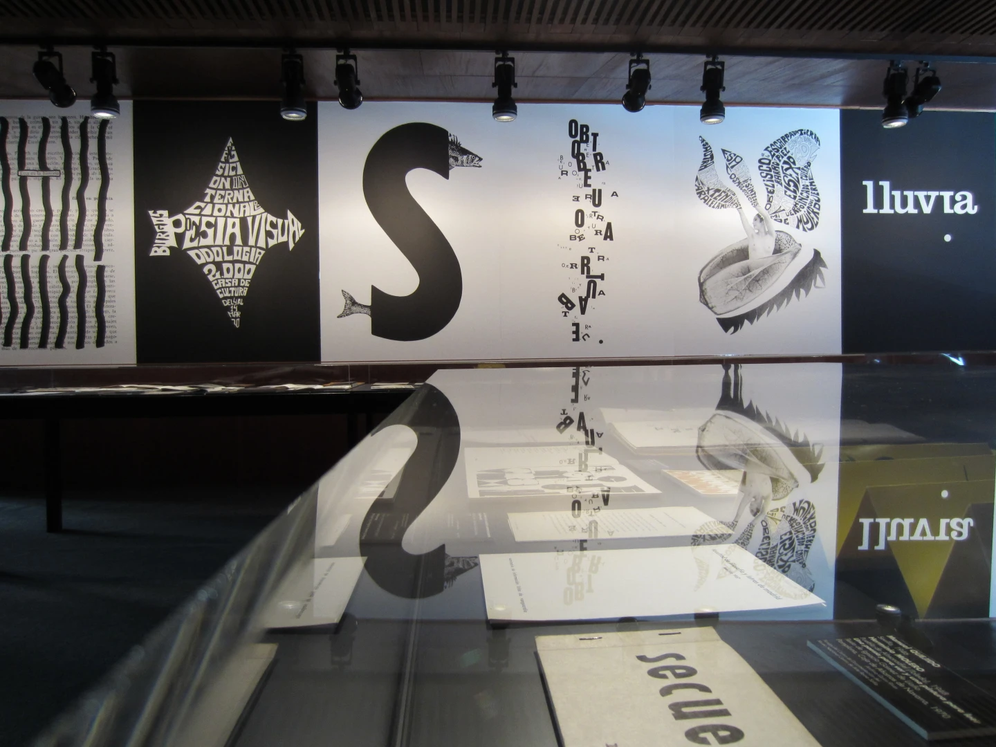 imagen de nuevo espacio expositivo