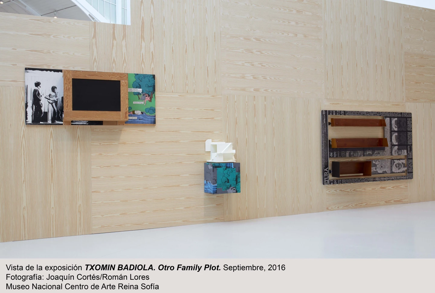 Vista de sala de la exposición Otro Family Plot, de Txomin Badiola.