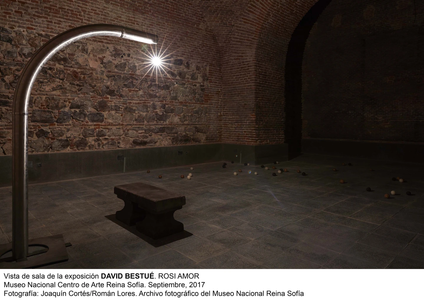  David Bestué. ROSI AMOR