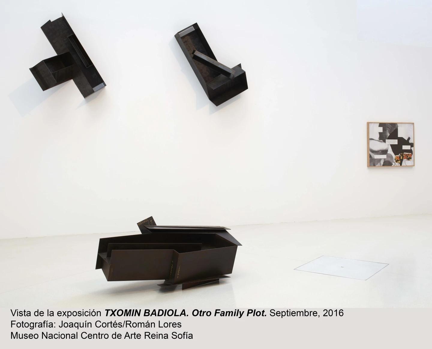 Vista de sala de la exposición Otro Family Plot, de Txomin Badiola.