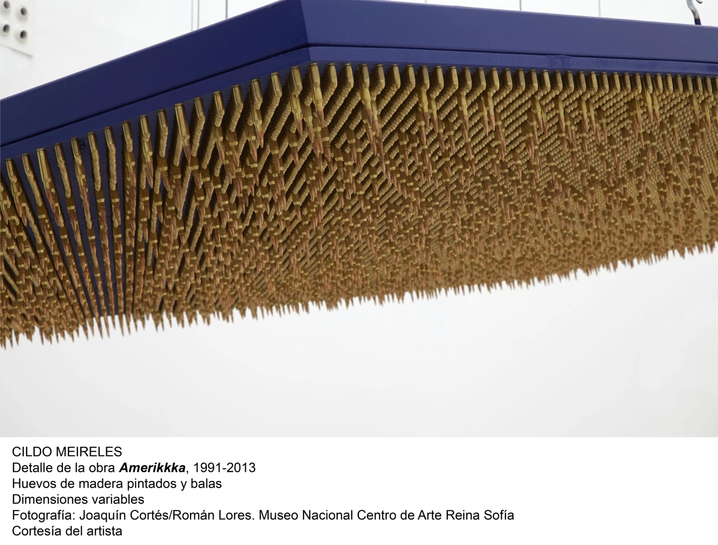 Cildo Meireles, Amerikkka, 1991-2013