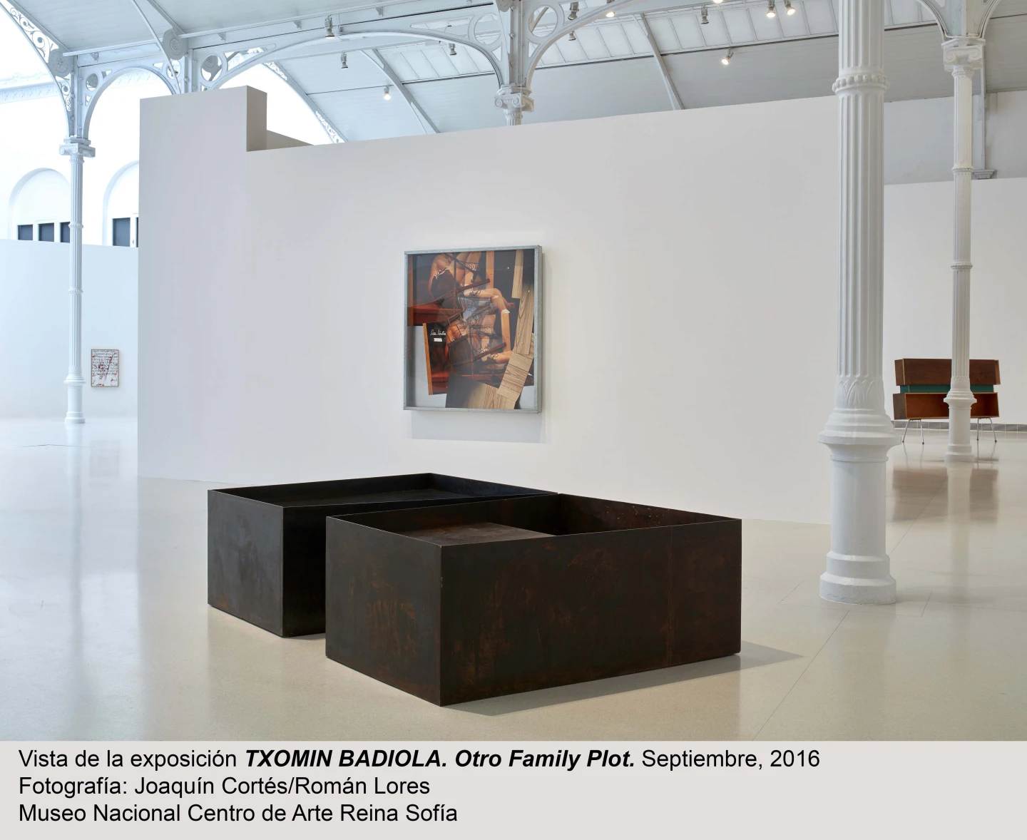 Vista de sala de la exposición Otro Family Plot, de Txomin Badiola.