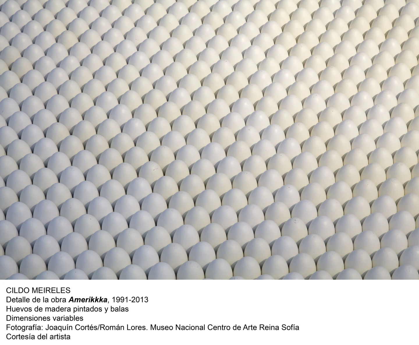 Cildo Meireles, Amerikkka, 1991-2013