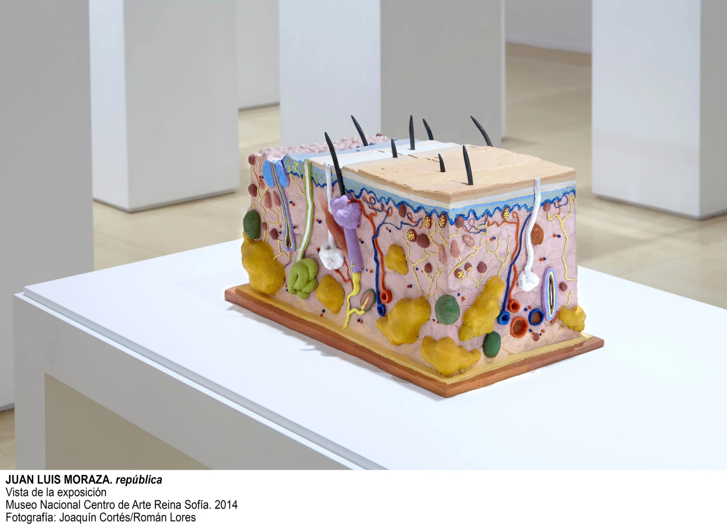 Juan Luis Moraza. república Vista de la exposición