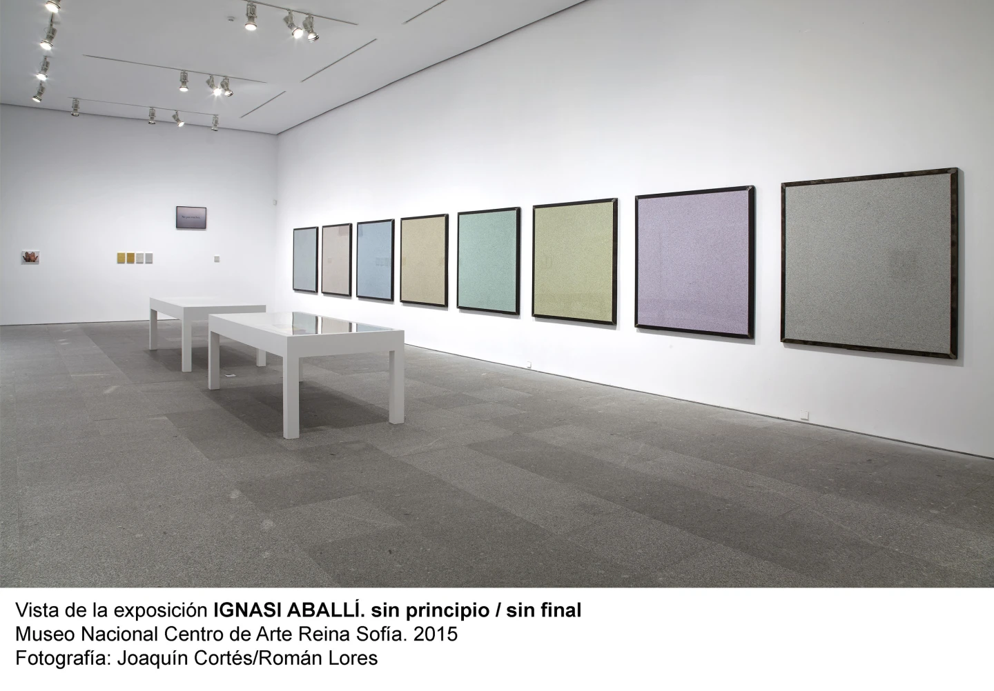 Vista de la exposicion sin principio / sin final. Ignasi Aballí, 2015