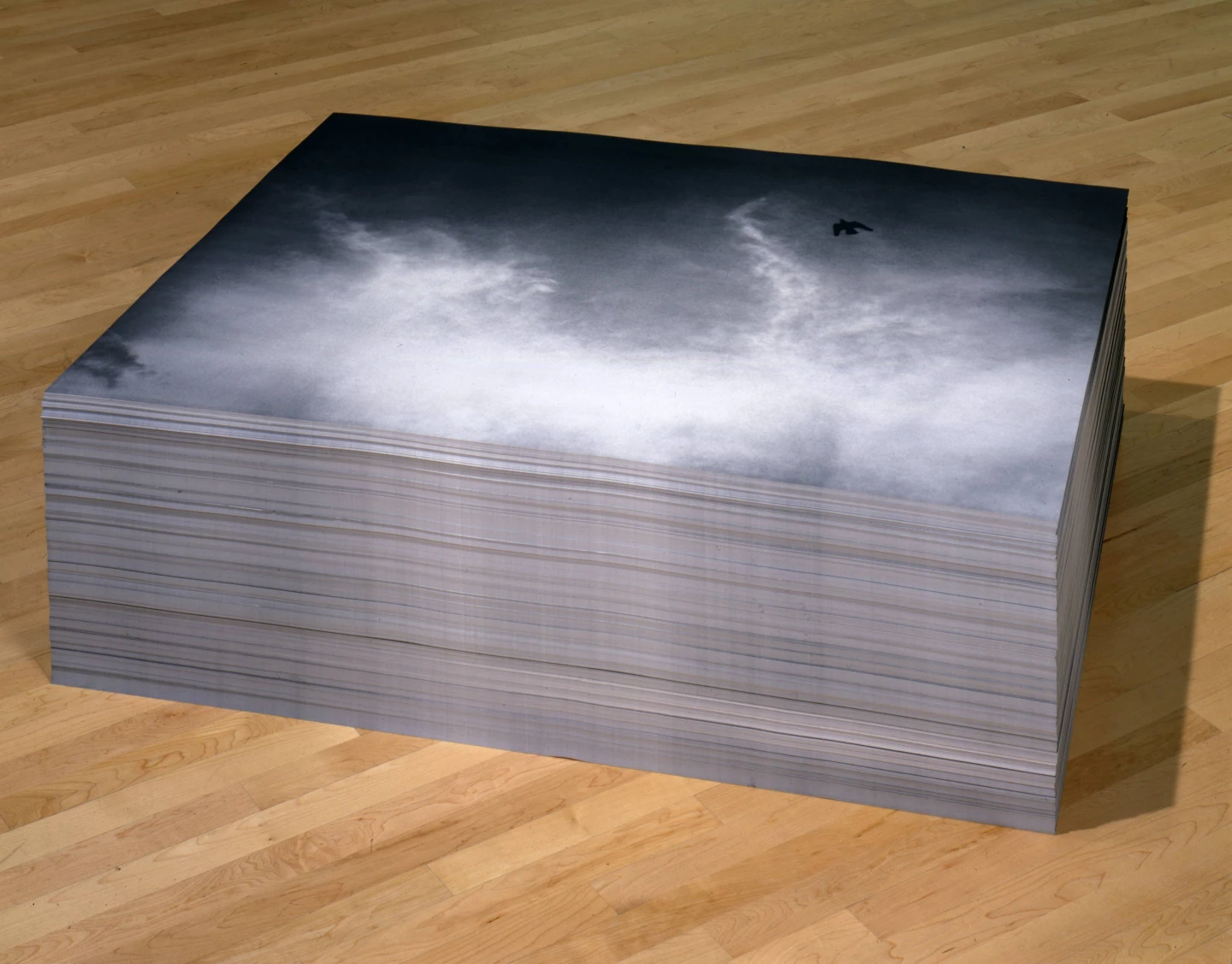 FELIX GONZALEZ-TORRES. Untitled. 1992/1993. Impresión sobre papel. 113 cm x 85,09 cm. Instalación Public Information: Desire, Disaster, Document. The San Francisco Museum of Modern Art (SFMOMA), 1995. Fotografía de Ben Blackwell. © Estate Felix Gonzalez-Torres, Cortesía Felix Gonzalez-Torres Foundation