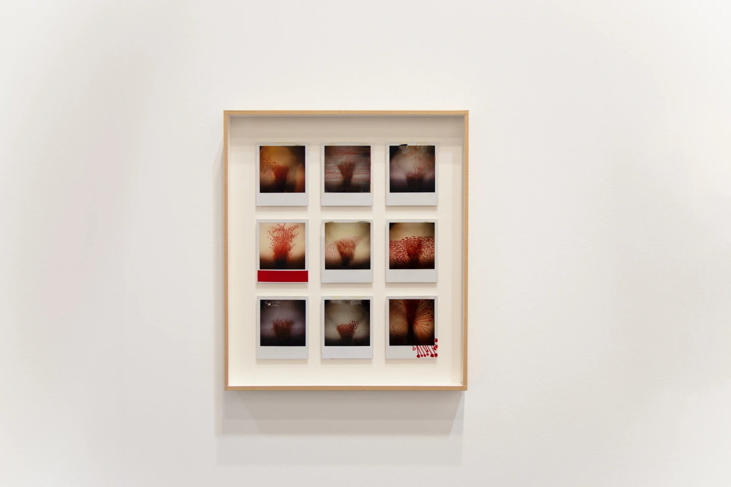 La Ribot. Nueve chichis y un flash, (2000) conjunto de 9 fotografías polaroids enmarcadas. (46,3 x 40,3 cm)©La Ribot. Museo Reina Sofía.
