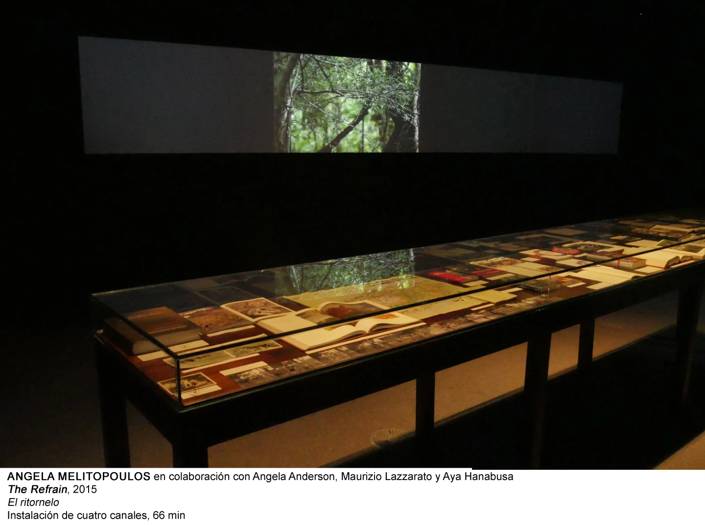 Angela Melitopoulos. Cine (so) matrix