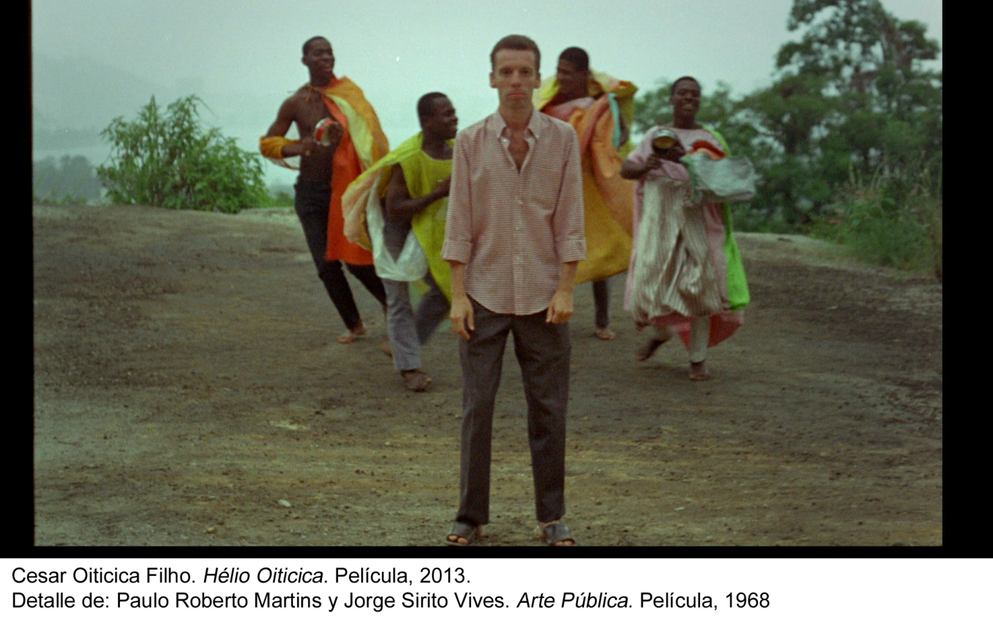 Cesar Oiticica Filho. Hélio Oiticica. Película, 2013.