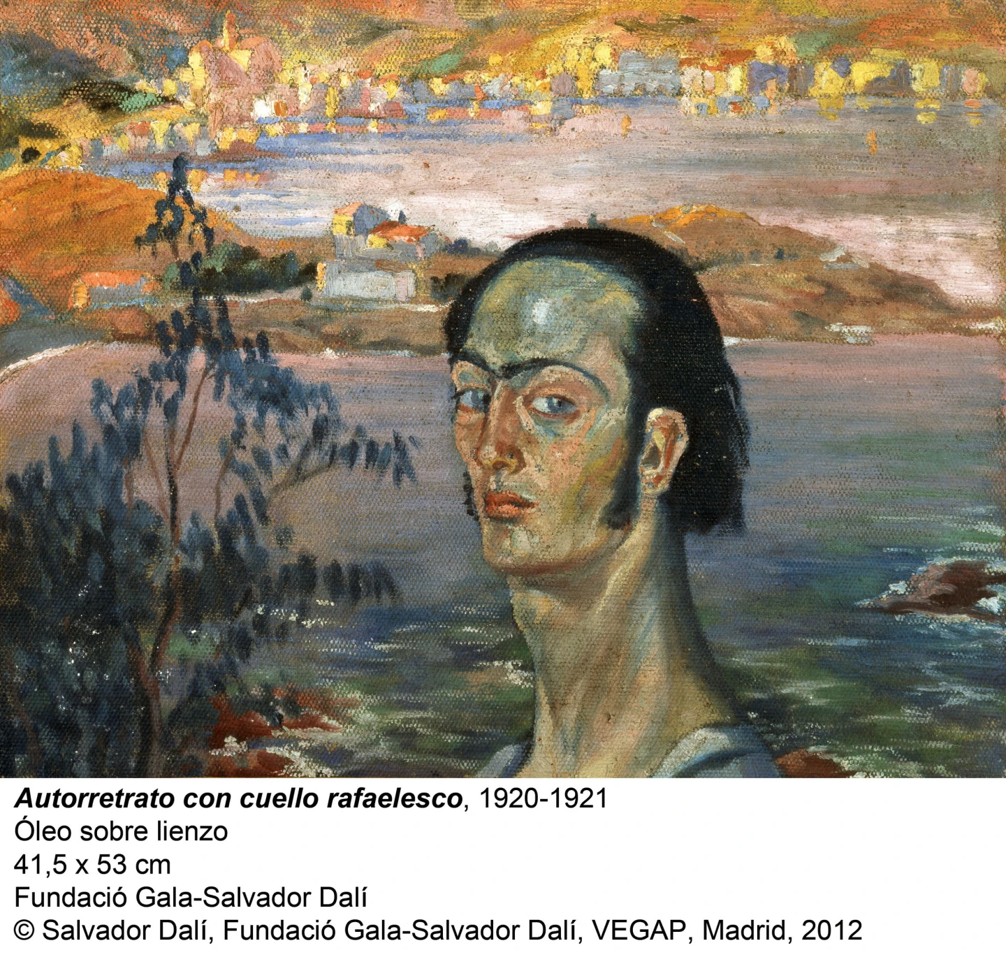 Dalí, Autorretrato con cuello rafaelesco, 1920-1921 © Salvador Dalí, Fundació Gala-Salvador Dalí, VEGAP, Madrid, 2013