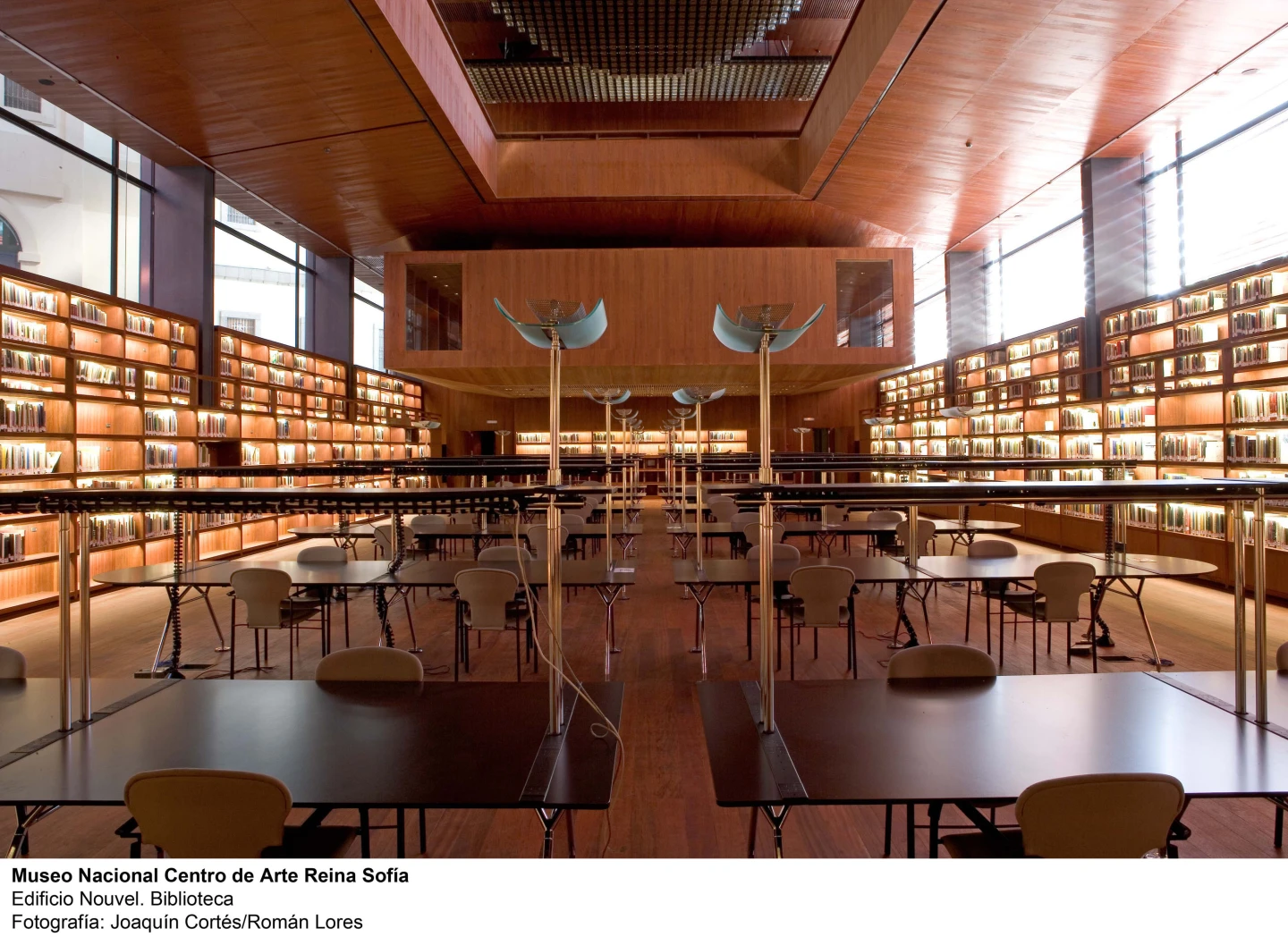 Museo Reina Sofía. Biblioteca