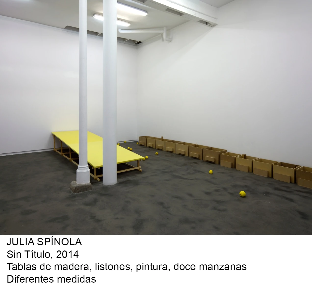 Julia Spínola, Sin título, 2014.