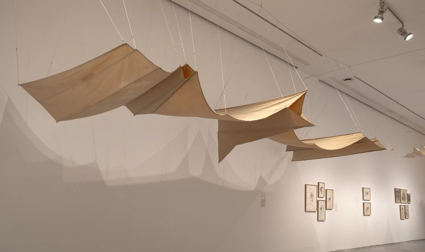 Aurèlia Muñoz, Ocell estel B1 [Pájaro-cometa B1] (1981-1982)