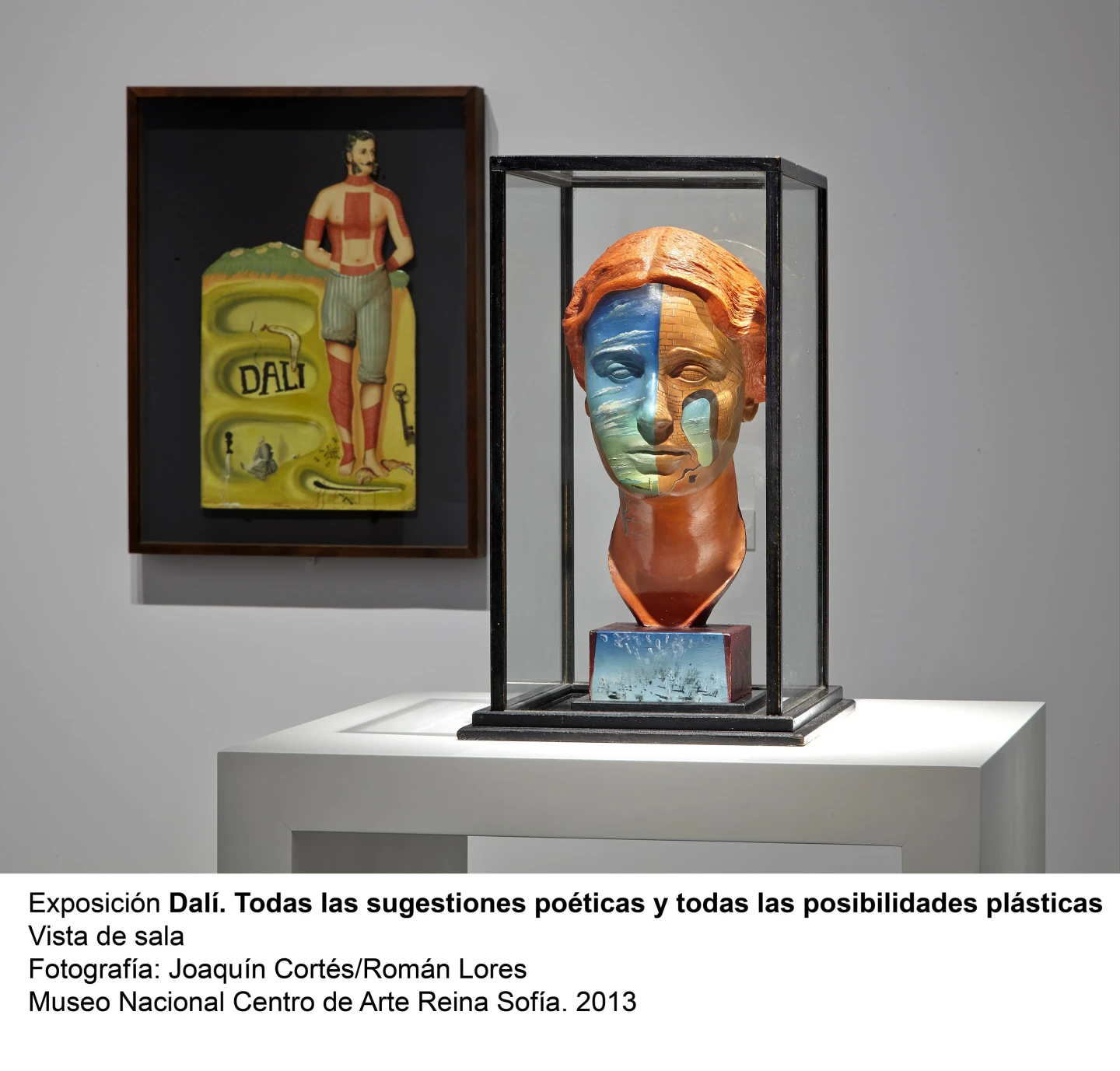 Dalí. Todas las sugestiones poéticas y todas las posibilidades plásticas, vista de sala / gallery view (imagen 2)