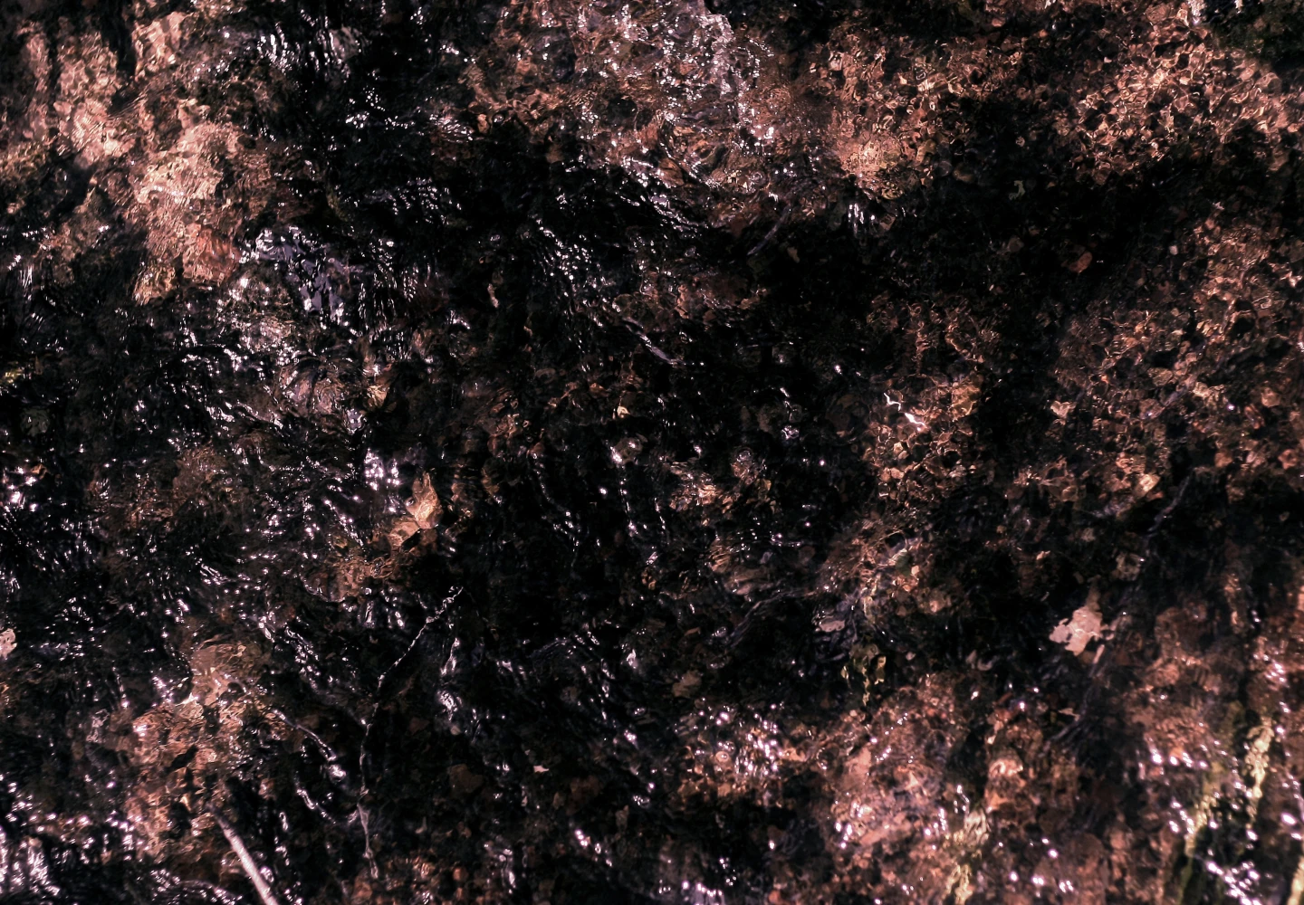 Jelena Glazova. Erased Song/ Erased Landscape. 2018