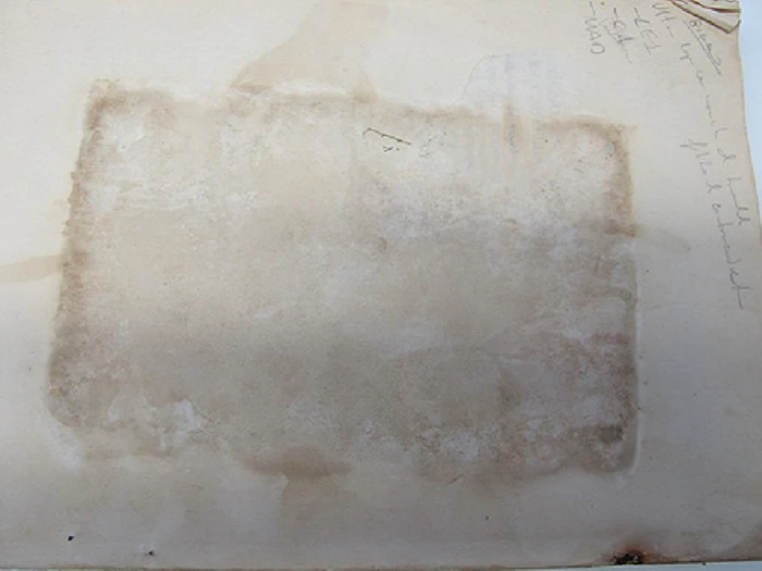Conservación de la reserva de Biblioteca del Museo Reina Sofía