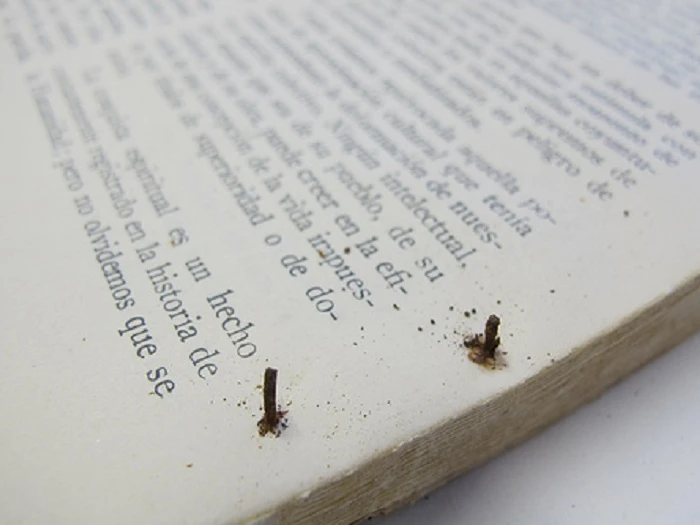 Conservación de la reserva de Biblioteca del Museo Reina Sofía