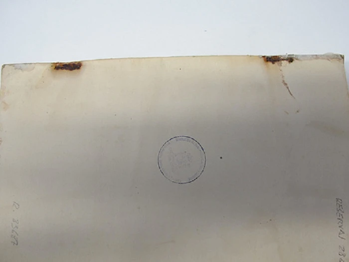 Conservación de la reserva de Biblioteca del Museo Reina Sofía