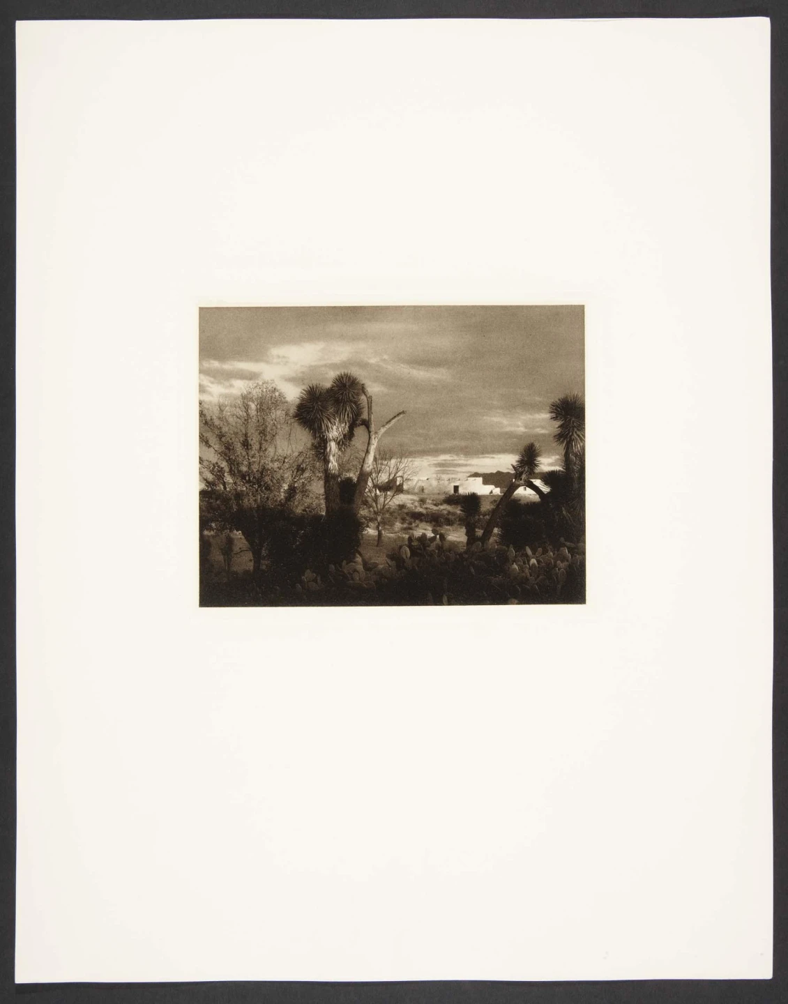 AD06209-001