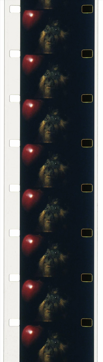 AD07280_01