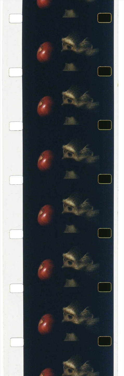 AD07280_02