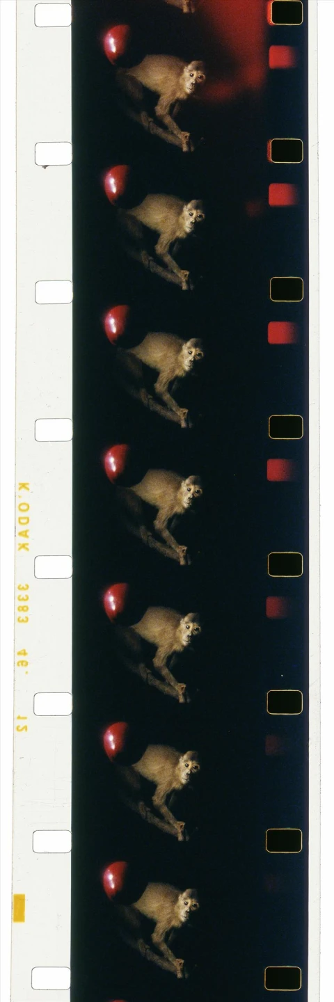 AD07280_04