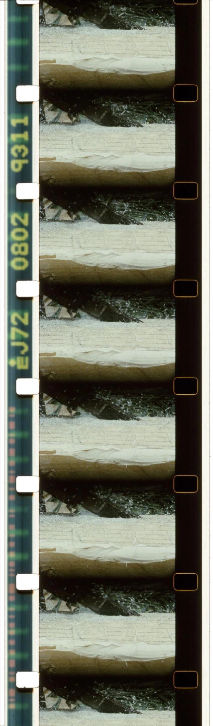 AD07305_01