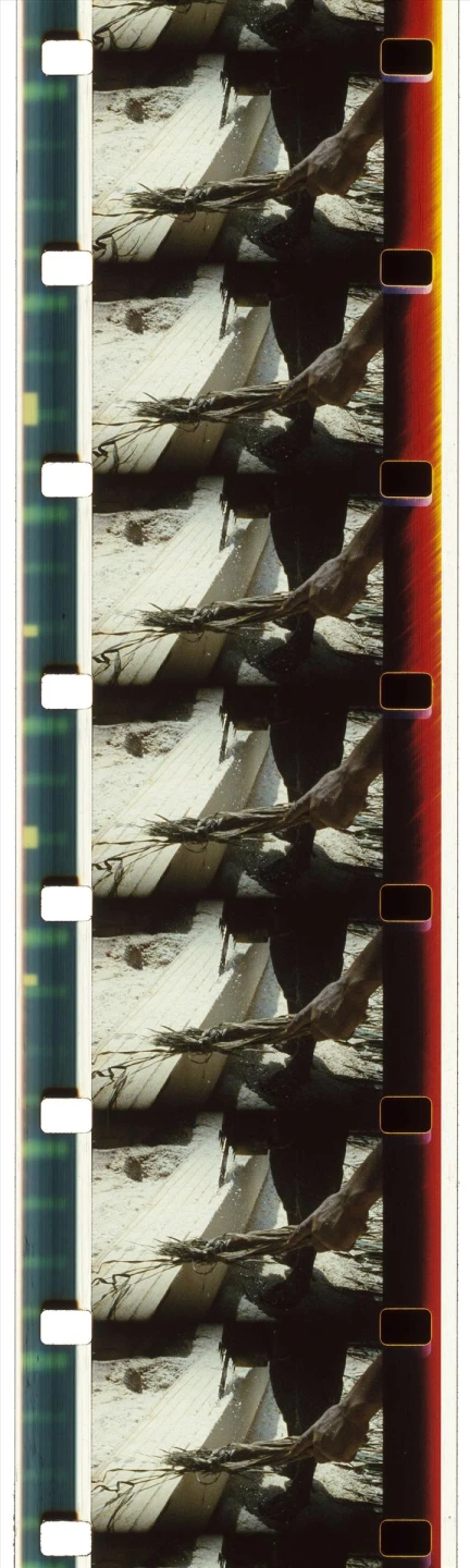 AD07305_05
