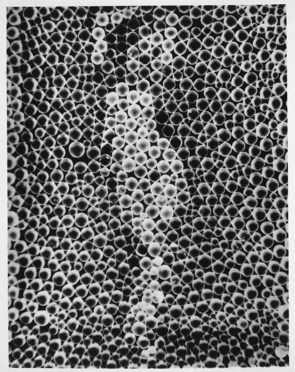 AS07531