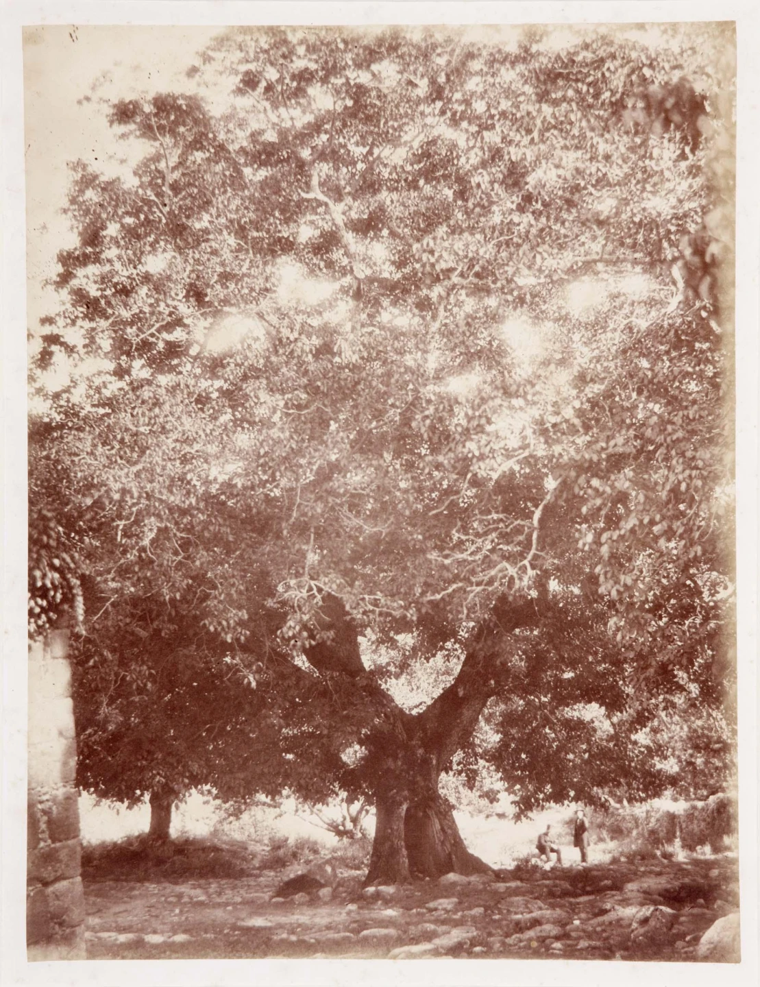 DE01866
