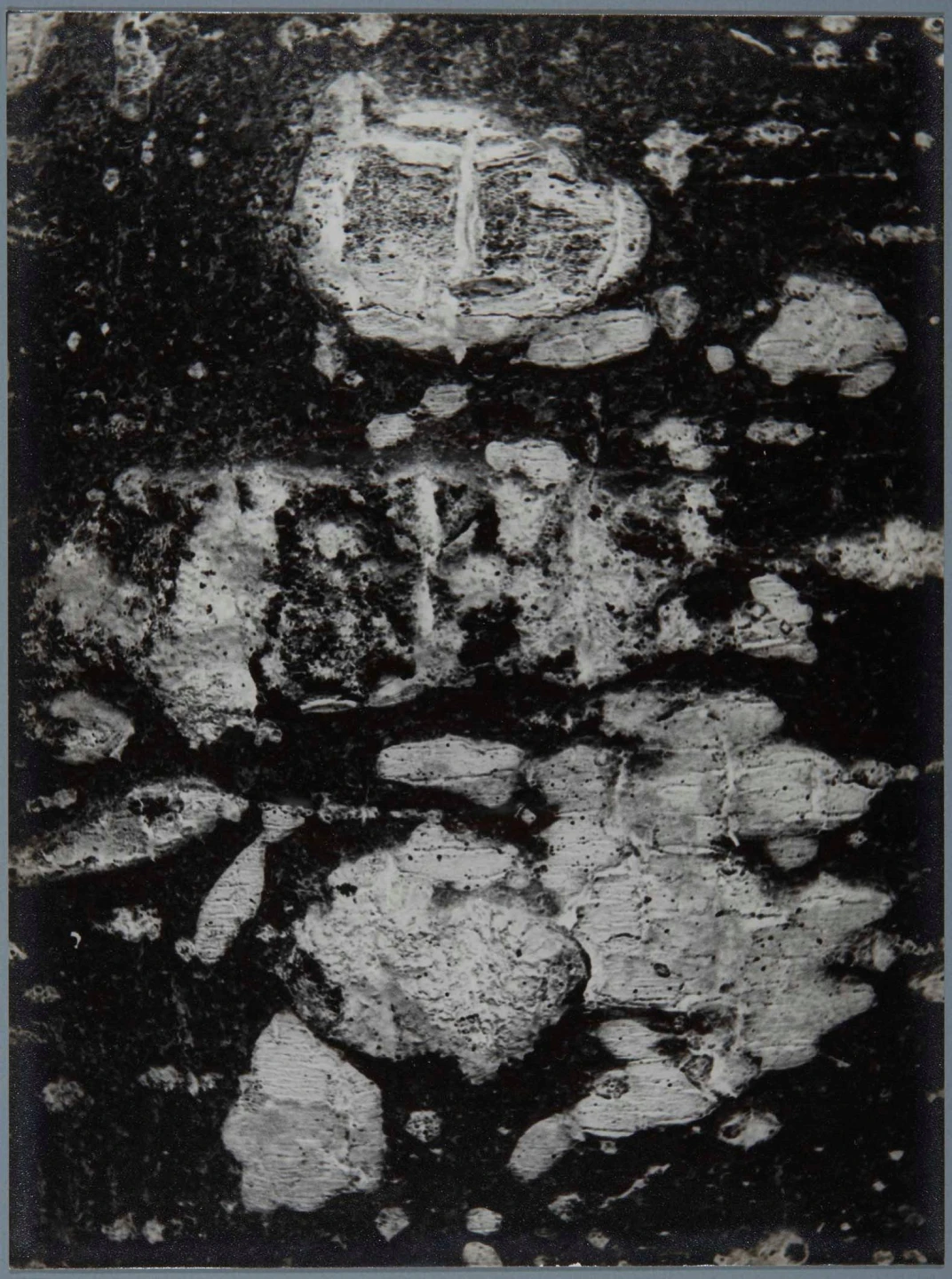 DE01895-02