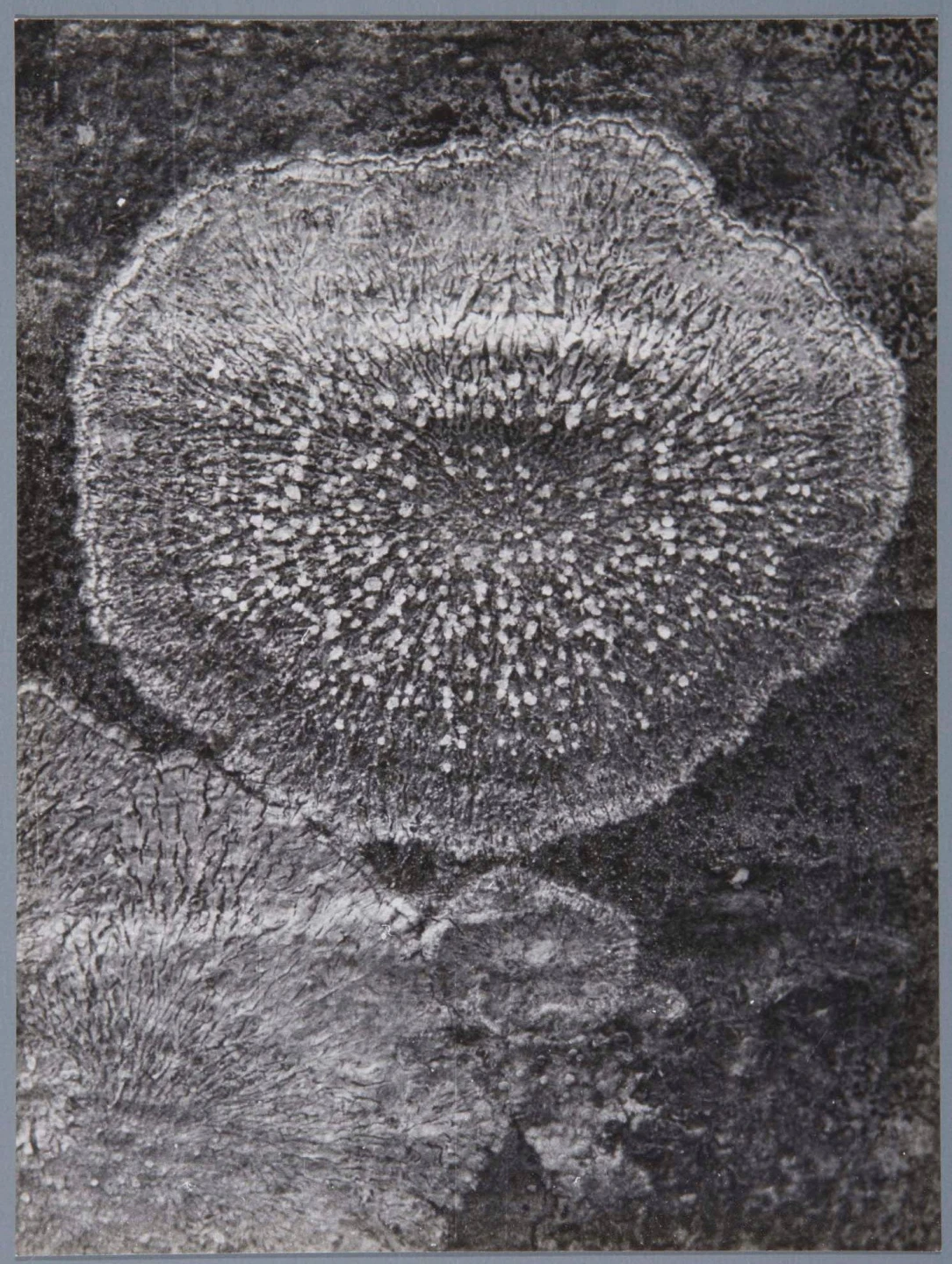 DE01895-05