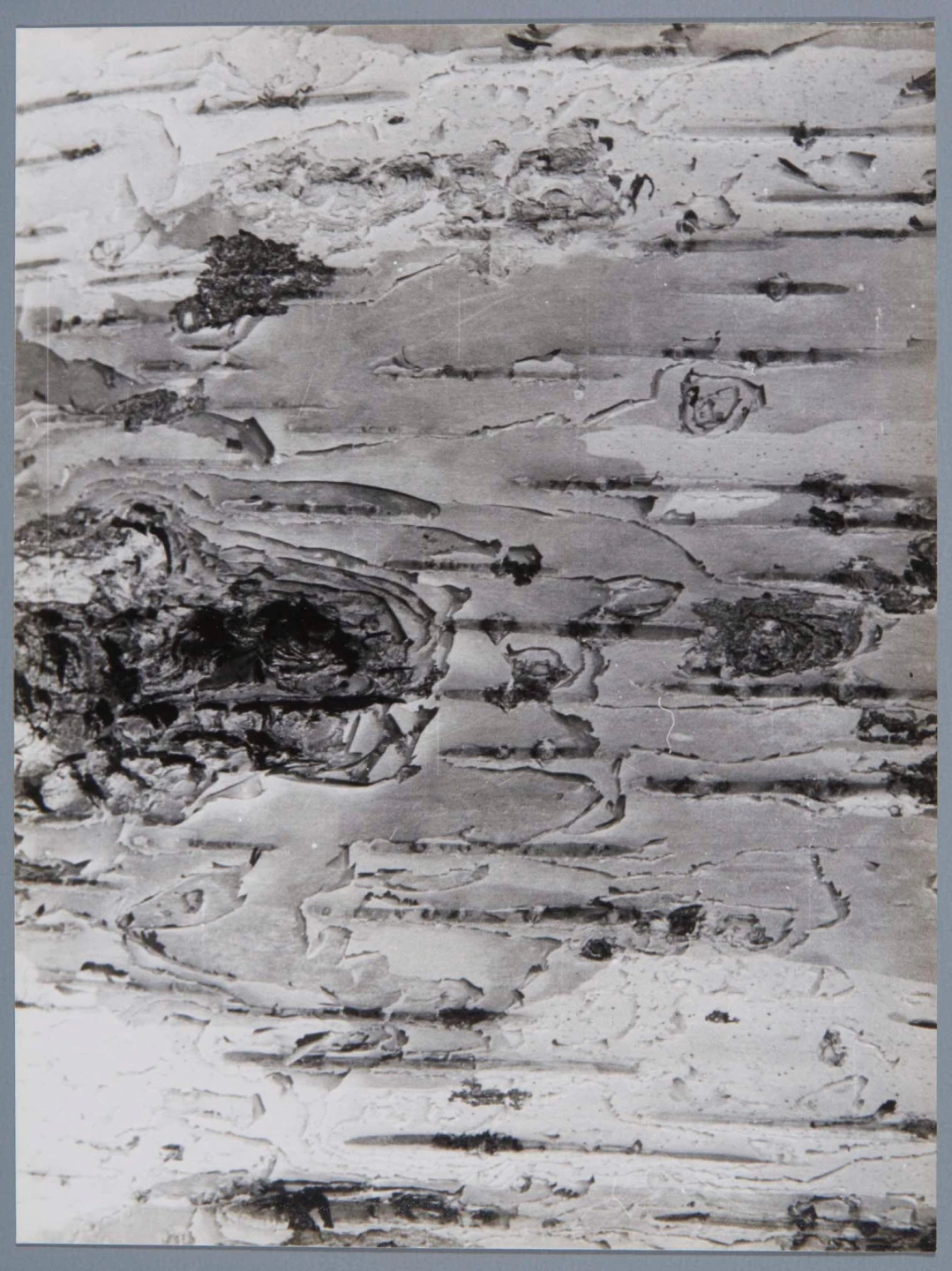 DE01895-11
