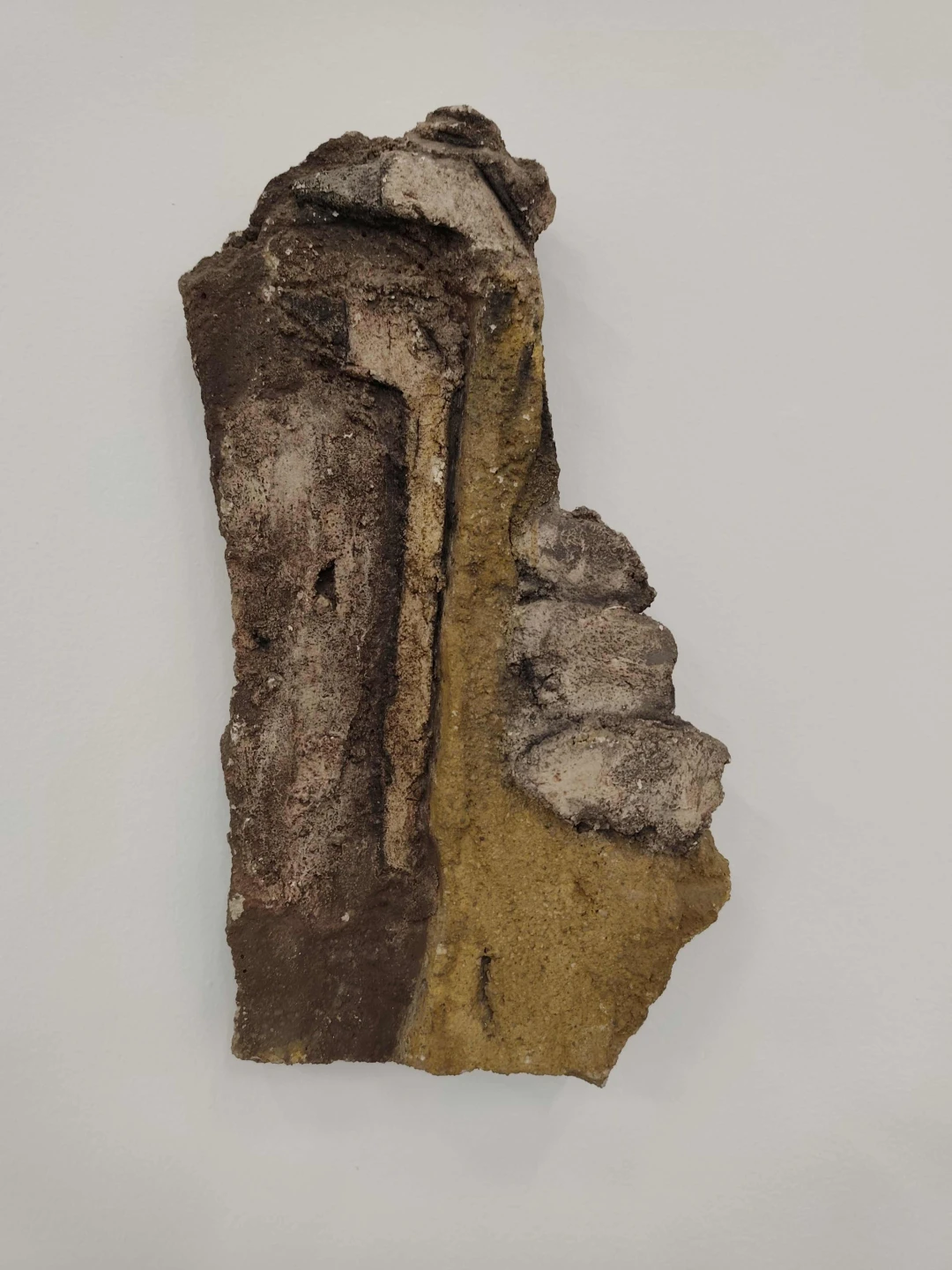 IMG_20260127_124349,baja