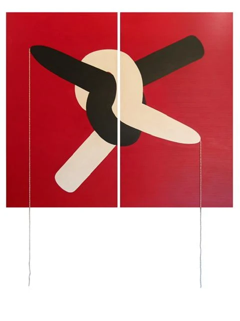 pichilla_anudarydesanudar