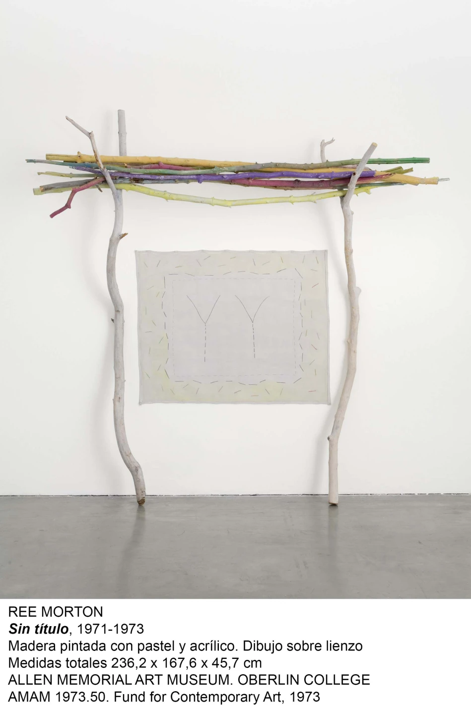 Ree Morton. Sin título, 1971-1973. Madera pintada con pastel y acrílico. Dibujo sobre lienzo